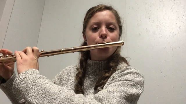 Happy Birthday Beatbox Flute смотреть онлайн