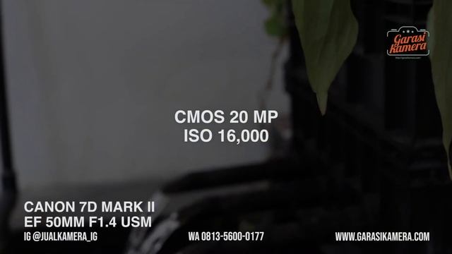 Review Kamera Canon 7D Mark II Idaman Fotographer Profesional смотреть онлайн