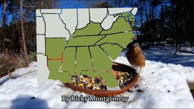 Колебания Молекул