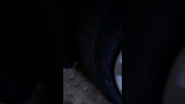 Без головной боли и стресса: журнал о безопасном ремонте