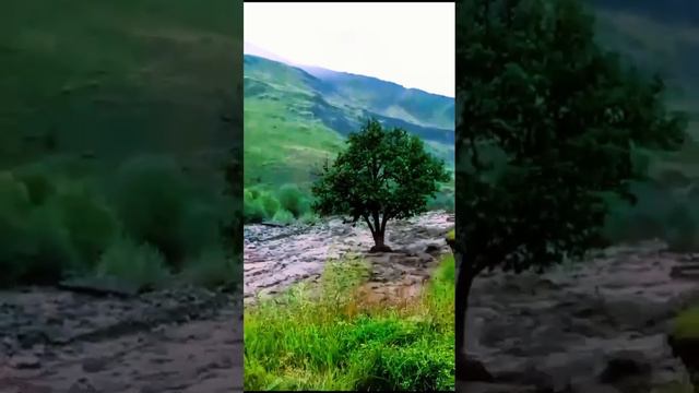 Никогда не сдавайся.mp4