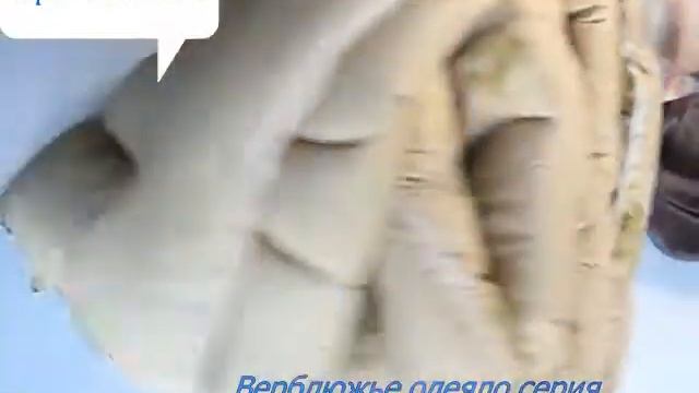 Верблюжье одеяло Сахара зимнее смотреть онлайн