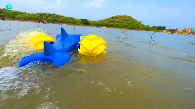 RC Crocodile Boat Vs RC Hybrid Shark Vs RC Blue Shark Unboxing & Testing - Chatpat toy tv смотреть онлайн