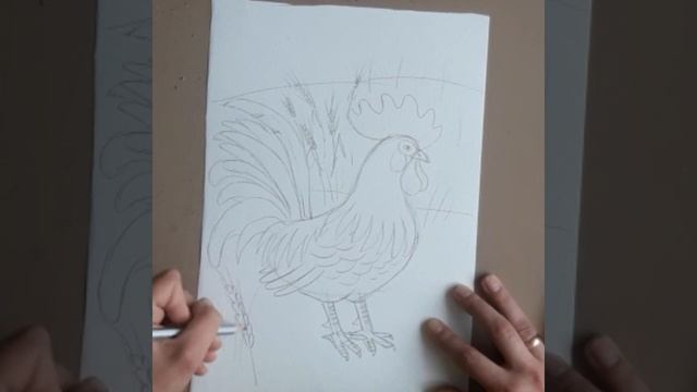 Петух цветными карандашами смотреть онлайн