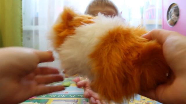 новая интерактивная морская свинка AniMagic смотреть онлайн