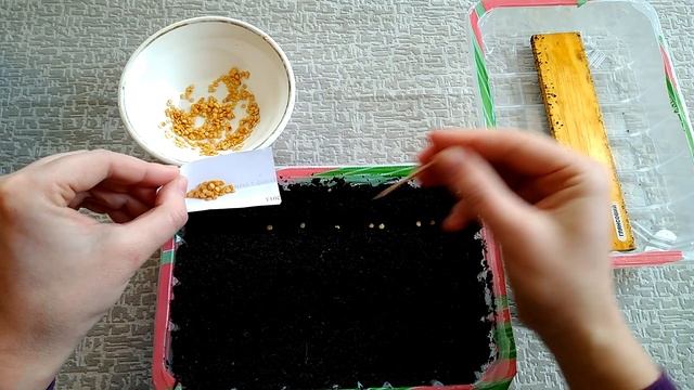 САМЫЙ БЫСТРЫЙ И НАДЕЖНЫЙ СПОСОБ ПОСАДКИ ПЕРЦА смотреть онлайн