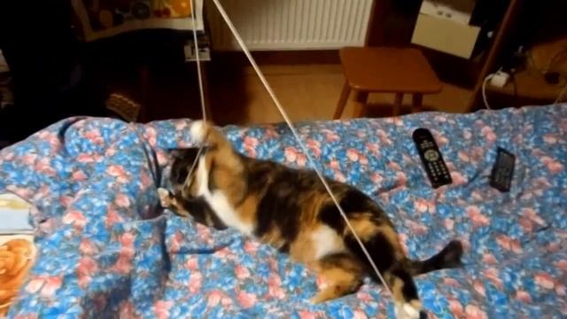 Игра перед сном смотреть онлайн