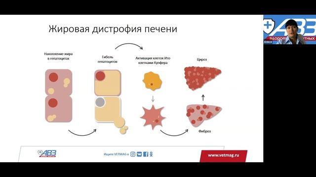 АВЗ Гепасейф Плюс: Алеся Коваль-Чудная