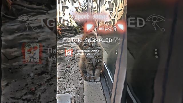 ПИОНЕРСКАЯ ЗОРЬКА - MAMA RUSSIA | SPEED UP смотреть онлайн