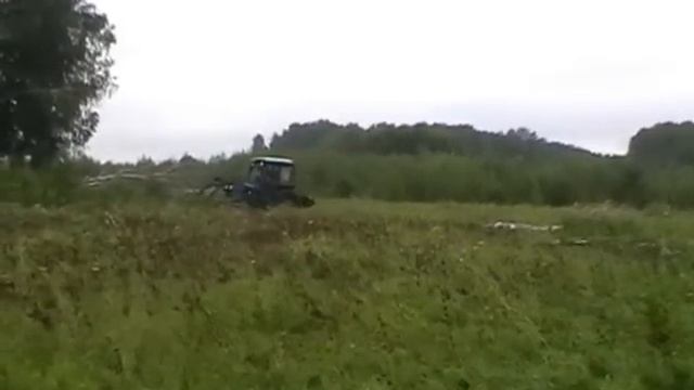 день лесника в. грива 2013 смотреть онлайн