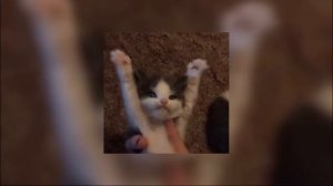 дора - втюрилась 1 час