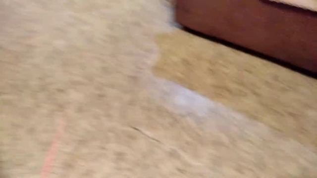 Ремонт в зале. Будем выравнивать пол, потом укладывать ламинат смотреть онлайн