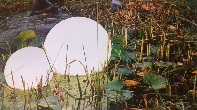 #Стихи #Вечерний_час #АвторскиеСтихи__НаталииМ смотреть онлайн