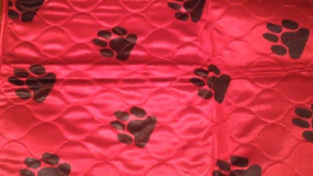 Многоразовый коврик V.I.Pet для собак смотреть онлайн