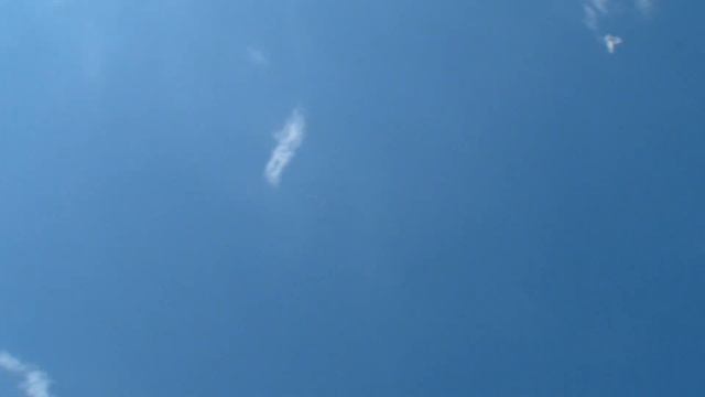 Бакинские голуби.Подъём в северный ветер. Лететь не хотят. смотреть онлайн