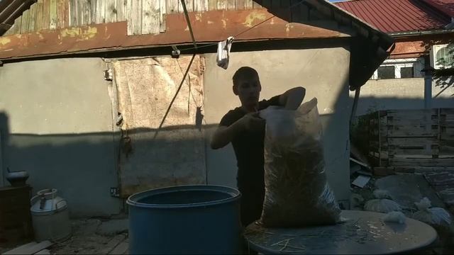 Как вырастить Вешенки в домашних условиях!Часть 1. смотреть онлайн