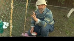 ВЫРАЩИВАЕМ ОГУРЦЫ НА СЕТКЕ В ОТКРЫТОМ ГРУНТЕ