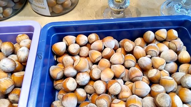 Фундук Халле описание сорта смотреть онлайн