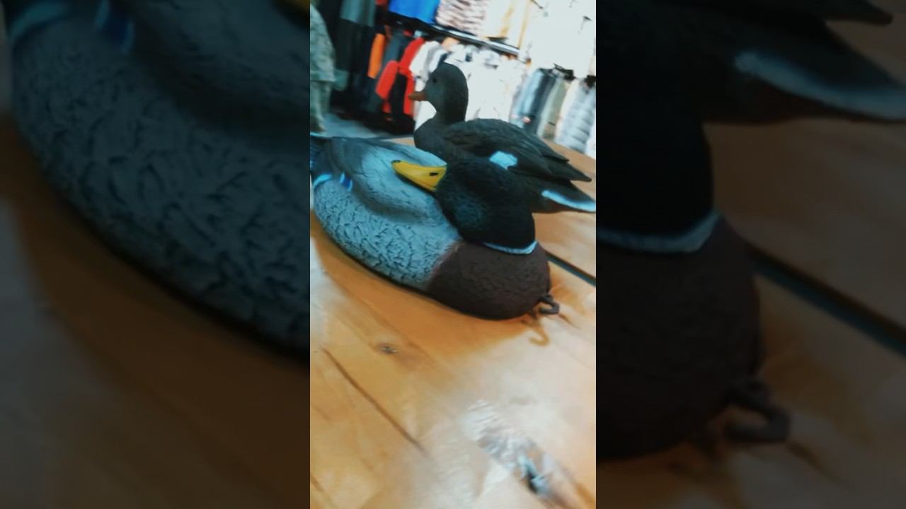 Манки, чучела и профили, электронные манки – всё это вы найдете в магазинах сети «Активный отдых». смотреть онлайн