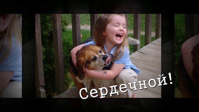 Поздравляю с рождением дочки! смотреть онлайн