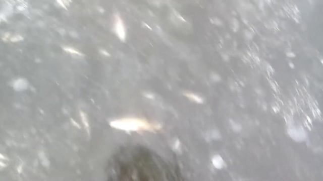 Рыба вымерзла но нельзя ловить смотреть онлайн