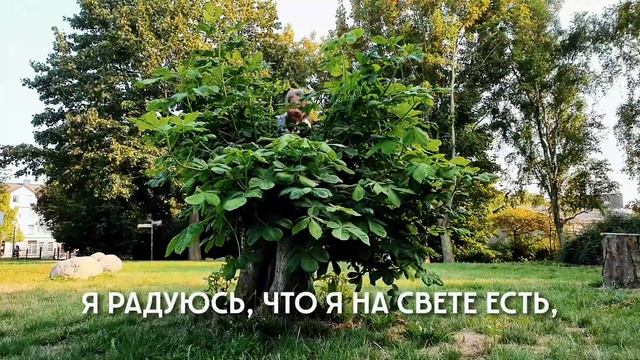 Чем Радует Лето? Наталочка Отвечает в СТИШКЕ #христианскиестихи #стихилето #стихпролетокороткий смотреть онлайн