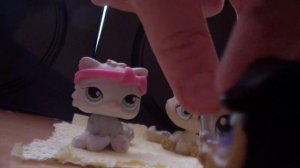 LPS СЕРИАЛ: Девки, ПАРНИ РоКеНрОл! (8Серия.1Сезон) Рекс сделал предложение Джессике.