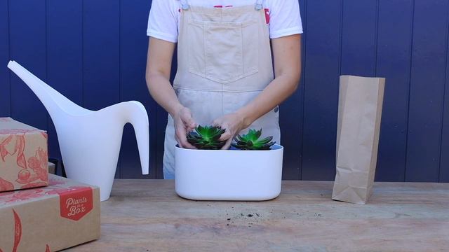 How-to guide: Potting up your Duo Planter pack смотреть онлайн