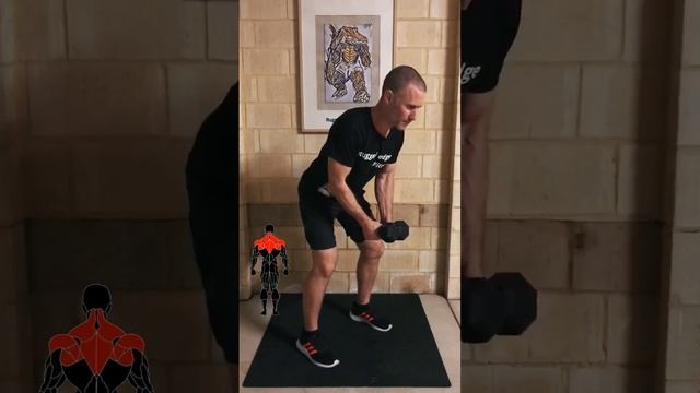 REVERSE FLYS - DUMBBELLS - 10 reps - 4 sets - muscle endurance, 8 reps - 4 sets - strength #fitness смотреть онлайн