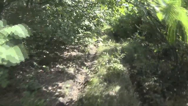 Поход в лес (день 1-й) смотреть онлайн