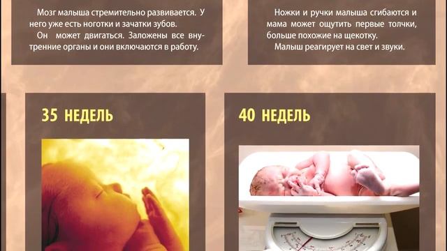 Андреева Ирина Николаевна Врач акушер гинеколог, ГБУЗ РК 'Ялтинский родильный дом' смотреть онлайн