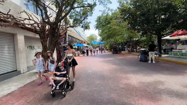 Göçmenleri Almayan Ülke Meksika'ya Gidiyorum! Cancun~Playa Del Carmen !#meksika @HaytaYollardaa смотреть онлайн