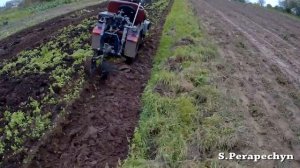 Стильный минитрактор из мотоблока МТЗ: пашем землю на зиму