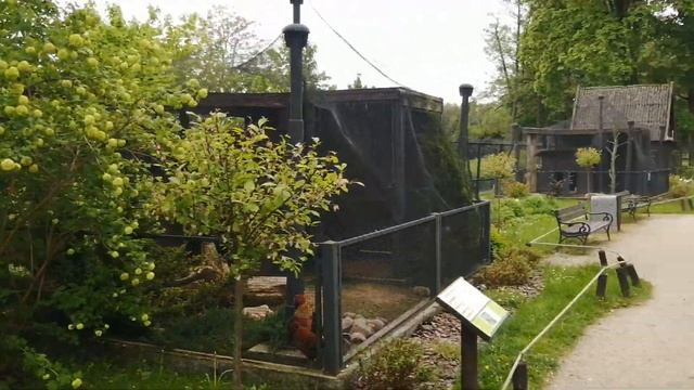 Бесплатный зоопарк в Белостоке, гуляем! Spacer po zoo w Białymstoku! Белосток Польша! смотреть онлайн