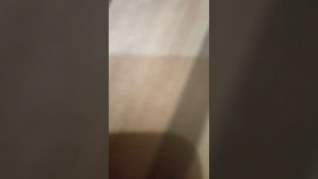 обзор настольная игра морской бой из 2000 годов смотреть онлайн