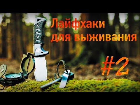Лайфхаки для выживания!