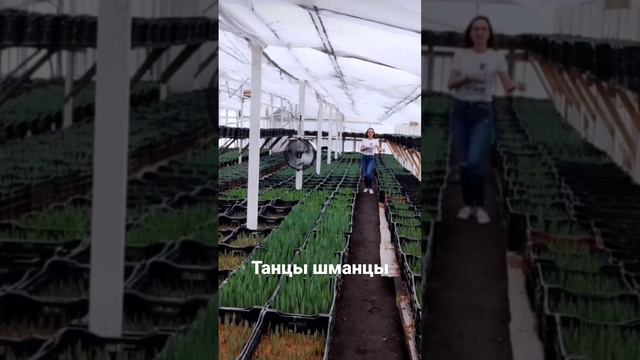 лишь бы всё росло, и затанцуешь 😂 смотреть онлайн