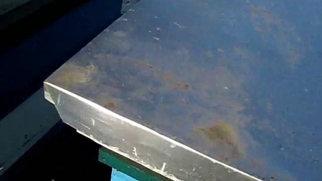 Подписчики  предложили зимовку без утепления.БЕЗ ПРОБЛЕМ.ЗИМУЕМ!(06.12.2019г.)