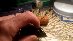 Самодельная мышь на тайменя своими руками