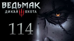 The Witcher 3 / Ведьмак 3 - Сыр и тёмные силы - Прохождение игры на русском [#114] | PC (2017 г.)