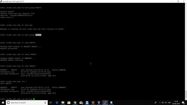 GoldenGate Manager Parameter смотреть онлайн