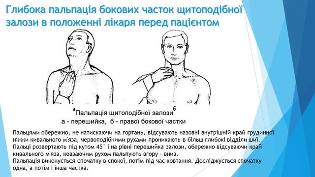 Пальпація щитоподібної залози смотреть онлайн
