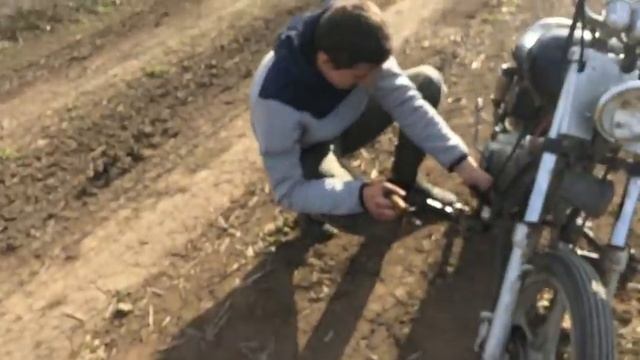 покатушка, домой на шнурках, пассажир муха смотреть онлайн