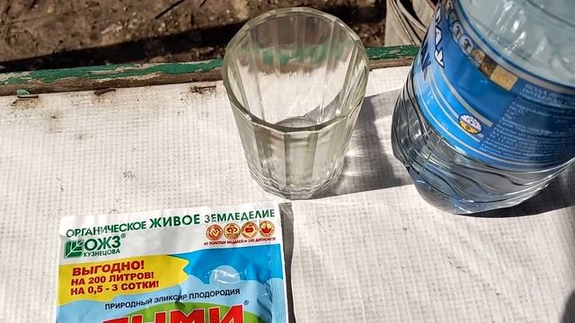 Посадка саженцев, приобретенных осенью прошлого года. Вишня.Черешня. Дюк (черевишня). смотреть онлайн