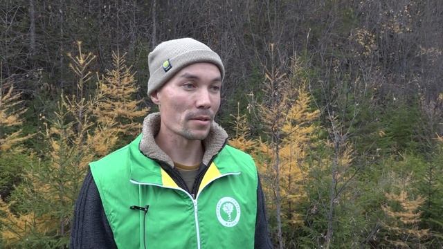 В рамках акции «Посади дерево» волонтеры посадят порядка 300 саженцев смотреть онлайн