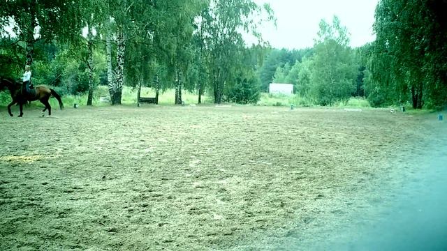 Гварнери смотреть онлайн