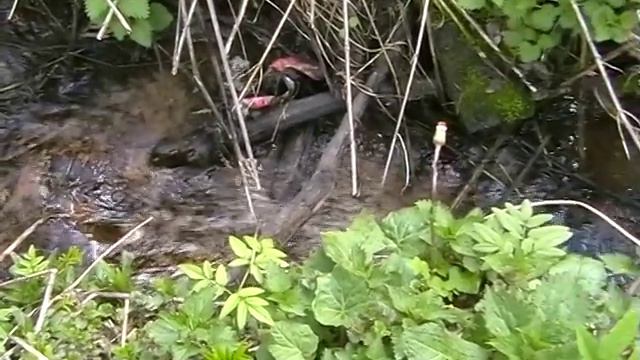 Музыка воды смотреть онлайн