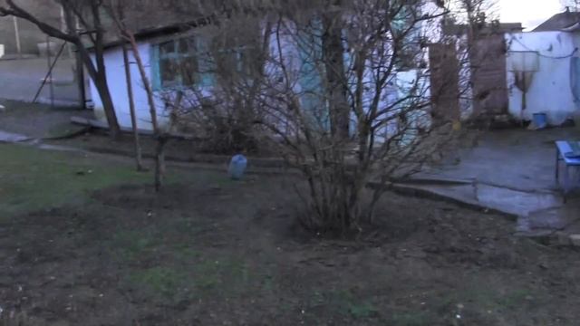 Луна днём ! И куда я деваю- мешки с зерном.Деревня. смотреть онлайн