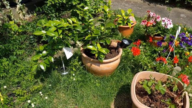 Запись песни/McDonald’s/Наконец-то дождались каникулы/Печём пиццу/... #вкуснаяеда #жизньвгермании смотреть онлайн