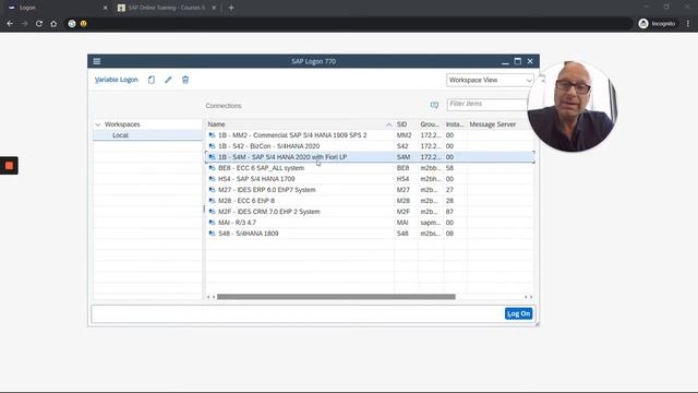 How to change the SAP GUI theme смотреть онлайн